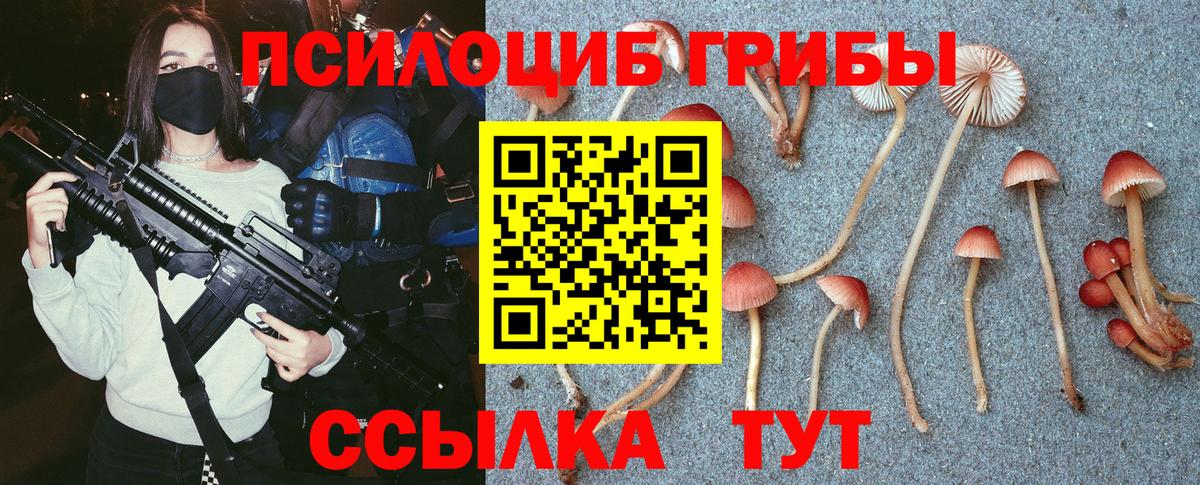 Галлюциногенные грибы Magic Shrooms Россошь